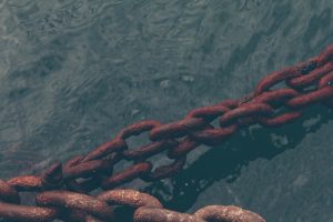 Photo Supply Chain Network
